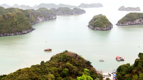 Stock Footage Vietnam Bay Landscape With Boats Live Wallpaper - Free Live Wallpaper