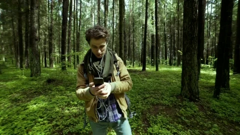 Stock Footage Video Call In The Woods Live Wallpaper - Free Live Wallpaper