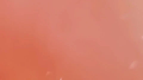 Stock Footage Vibrant Pink Abstract Water Viewed In Detail Live Wallpaper - Free Live Wallpaper