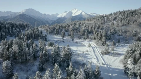 Stock Footage Vehicle Driving In A Road Covered In Snow Live Wallpaper - Free Live Wallpaper