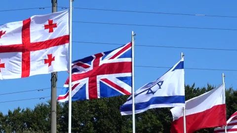 Stock Footage Various Flags In The Wind Live Wallpaper - Free Live Wallpaper