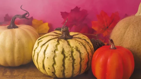 Stock Footage Variety Of Halloween Pumpkins Live Wallpaper - Free Live Wallpaper