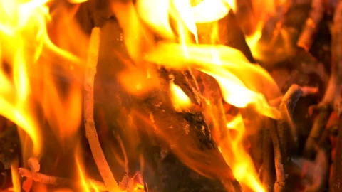 Stock Footage Wooden Logs Burning On A Fire Live Wallpaper Free - Free Live Wallpaper