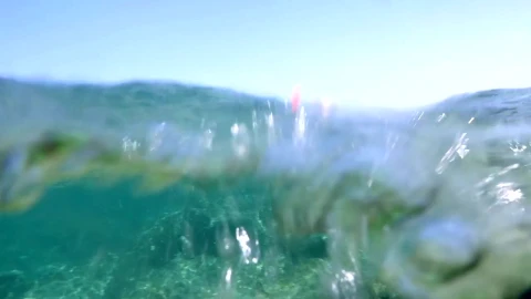 Stock Footage Woman Swimming Over A Reef Live Wallpaper Free - Free Live Wallpaper