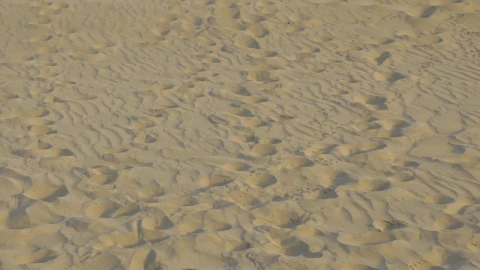 Stock Footage Woman In A Blue Dress Walking On The Sand Live Wallpaper Free - Free Live Wallpaper
