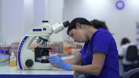Stock Footage Woman Working With Microorganisms In A Laboratory Live Wallpaper Free - Free Live Wallpaper