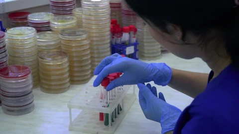 Stock Footage Working With Laboratory Equipment Live Wallpaper Free - Free Live Wallpaper