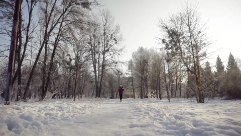 Stock Footage Woman Walking Through Snow In Winter Live Wallpaper Free - Free Live Wallpaper