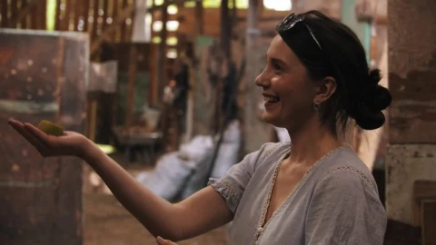 Stock Footage Young Woman Feeding A Horse In The Stable Live Wallpaper Free - Free Live Wallpaper