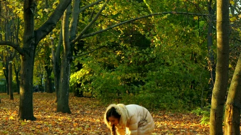Stock Footage Young Girl Throwing Yellow Autumn Leaves In The Forest Live Wallpaper Free - Free Live Wallpaper