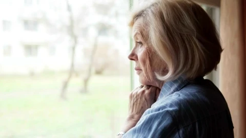 Stock Footage Worried Woman At The Window Live Wallpaper Free - Free Live Wallpaper