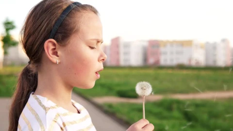 Stock Footage Young Girl With A Wildflower Live Wallpaper Free - Free Live Wallpaper