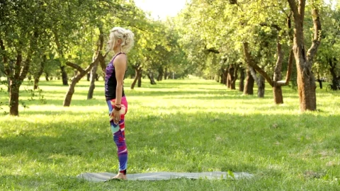 Stock Footage Woman Doing Yoga Between Trees Live Wallpaper Free - Free Live Wallpaper