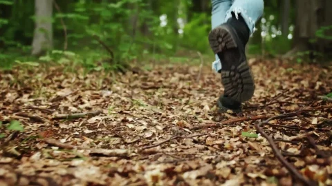 Stock Footage Womans Legs In Jeans Walk Through Forest Live Wallpaper Free - Free Live Wallpaper