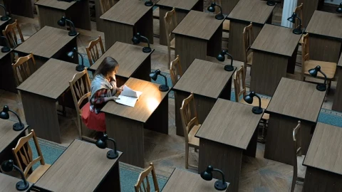 Stock Footage Woman Reading Alone In Study Hall Live Wallpaper Free - Free Live Wallpaper