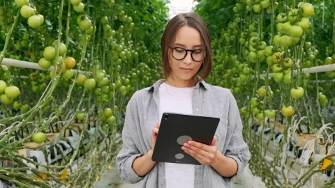 Stock Footage Young Woman Stands In Hydro Greenhouse On Tablet Live Wallpaper Free - Free Live Wallpaper
