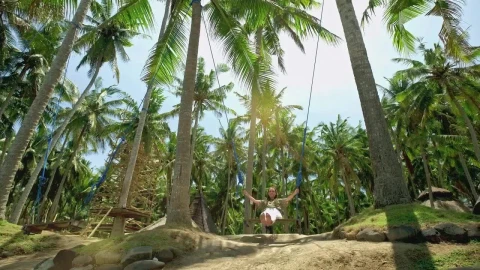Stock Footage Young Woman Swings Between Palm Trees At Bali Resort Live Wallpaper Free - Free Live Wallpaper