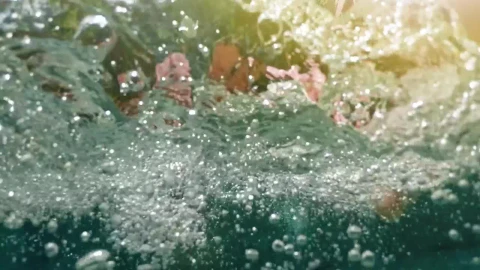Stock Footage Young Woman Dives Into Pool In Donut Float Live Wallpaper Free - Free Live Wallpaper