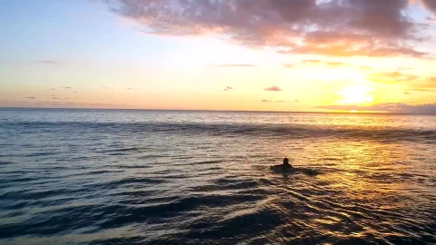 Stock Footage Woman Paddles Surfboard Into Sunset On Calm Sea Live Wallpaper Free - Free Live Wallpaper