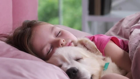 Stock Footage Young Girl Taking A Nap With Her Puppy Live Wallpaper Free - Free Live Wallpaper