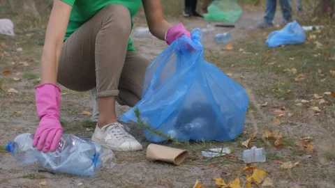 Stock Footage Woman Collecting Rubbish From A Park Live Wallpaper Free - Free Live Wallpaper