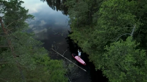 Stock Footage Woman On A Paddleboard On Forest River Live Wallpaper Free - Free Live Wallpaper