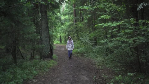 Stock Footage Woman In A Hoodie Walking In The Forest Live Wallpaper Free - Free Live Wallpaper