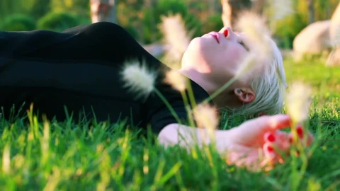 Stock Footage Woman Laid In The Grass Live Wallpaper Free - Free Live Wallpaper