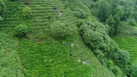 Stock Footage Workers On A Terrace Live Wallpaper Free - Free Live Wallpaper