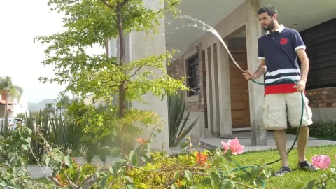 Stock Footage Young Man Watering His Garden On A Sunny Day Live Wallpaper Free - Free Live Wallpaper