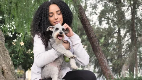 Stock Footage Young Woman In A Park Carrying Her Schnauzer Dog Live Wallpaper Free - Free Live Wallpaper