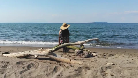 Stock Footage Woman Contemplating The Ocean Live Wallpaper Free - Free Live Wallpaper