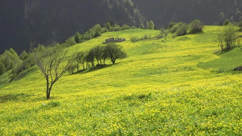 Stock Footage Woman Walking In A Mountain Valley Live Wallpaper Free - Free Live Wallpaper