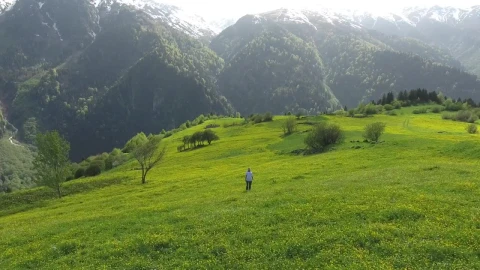 Stock Footage Woman Walking In Alpine Meadows Live Wallpaper Free - Free Live Wallpaper
