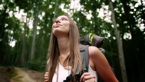 Stock Footage Woman Enjoys Sights And Forest Air On Hike Live Wallpaper Free - Free Live Wallpaper