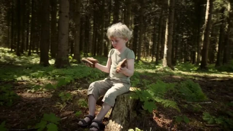 Stock Footage Young Boy Playing With Sticks Live Wallpaper Free - Free Live Wallpaper