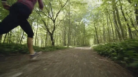 Stock Footage Woman Running Through A Forest Live Wallpaper Free - Free Live Wallpaper
