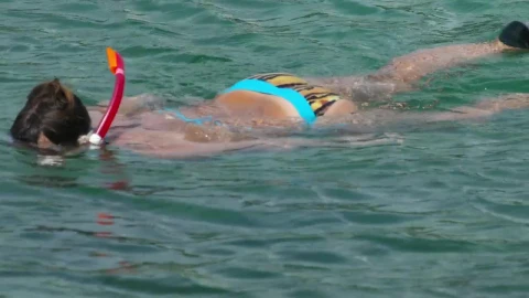 Stock Footage Woman Snorkeling In The Water Live Wallpaper Free - Free Live Wallpaper