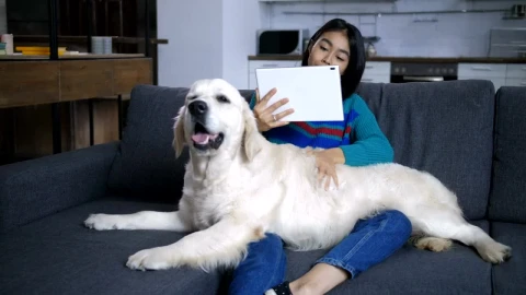 Stock Footage Woman With Her Pet Dog Live Wallpaper Free - Free Live Wallpaper