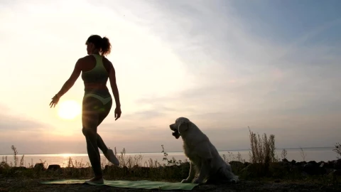 Stock Footage Young Lady Doing Yoga Outside With Her Dog Live Wallpaper Free - Free Live Wallpaper