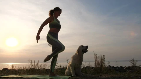 Stock Footage Woman Doing Yoga At Sunset Live Wallpaper Free - Free Live Wallpaper