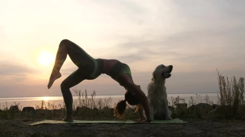Stock Footage Woman Doing Yoga At The Beach Live Wallpaper Free - Free Live Wallpaper