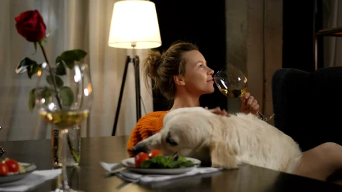 Stock Footage Woman Drinking Wine With Her Dog Live Wallpaper Free - Free Live Wallpaper