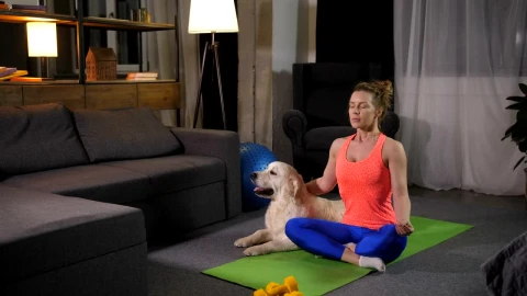 Stock Footage Woman Doing Yoga With Her Pet Dog Live Wallpaper Free - Free Live Wallpaper