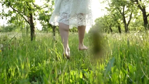 Stock Footage Woman Walking On Grass Live Wallpaper Free - Free Live Wallpaper