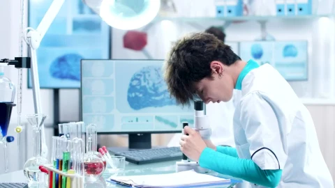 Stock Footage Young Researcher Typing Notes Live Wallpaper Free - Free Live Wallpaper