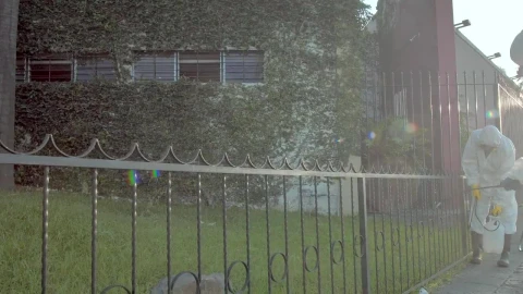 Stock Footage Workers Disinfected And Sanitized A Garden Live Wallpaper Free - Free Live Wallpaper