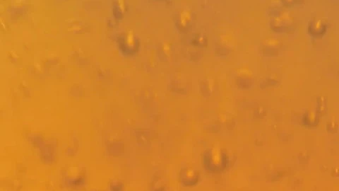 Stock Footage Yellow And Bubbly Beer Live Wallpaper Free - Free Live Wallpaper