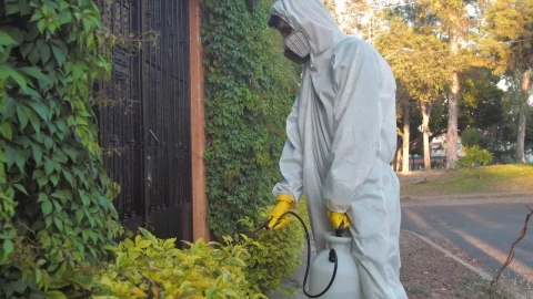 Stock Footage Workers In Hazmat Suits In The Street Live Wallpaper Free - Free Live Wallpaper