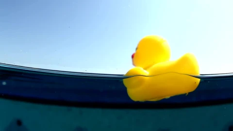 Stock Footage Yellow Rubber Duck In Water Live Wallpaper Free - Free Live Wallpaper